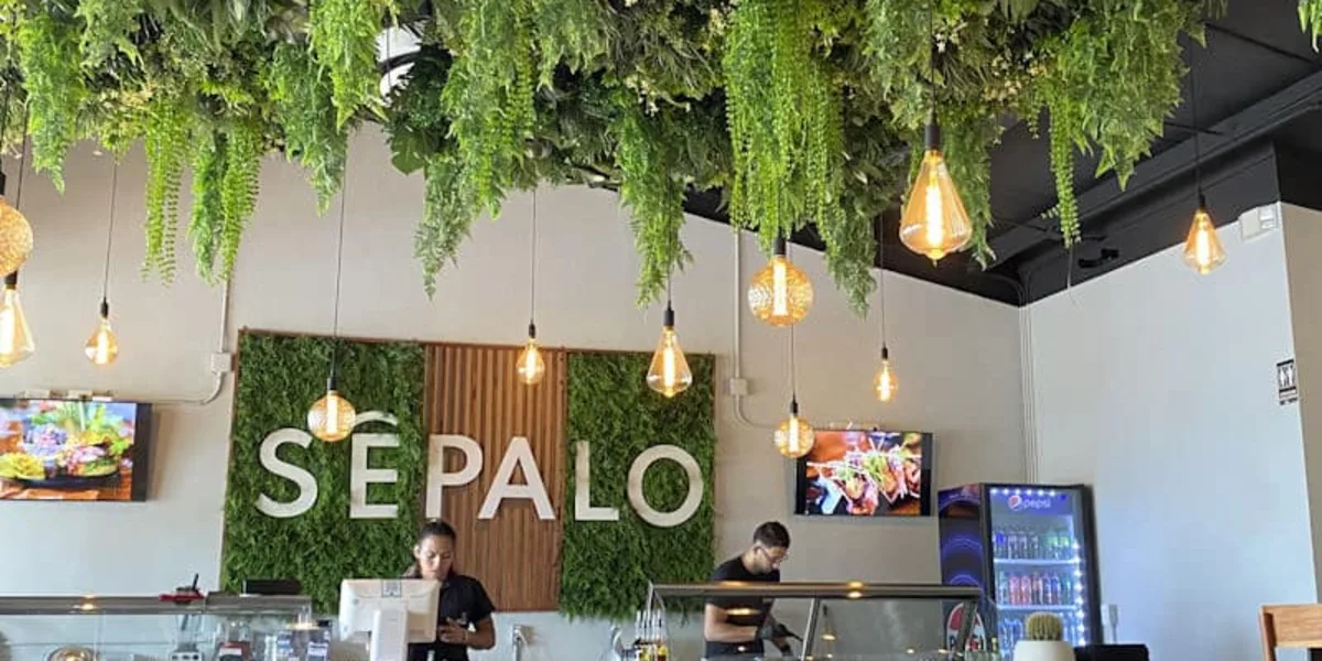 Sépalo in Jaco